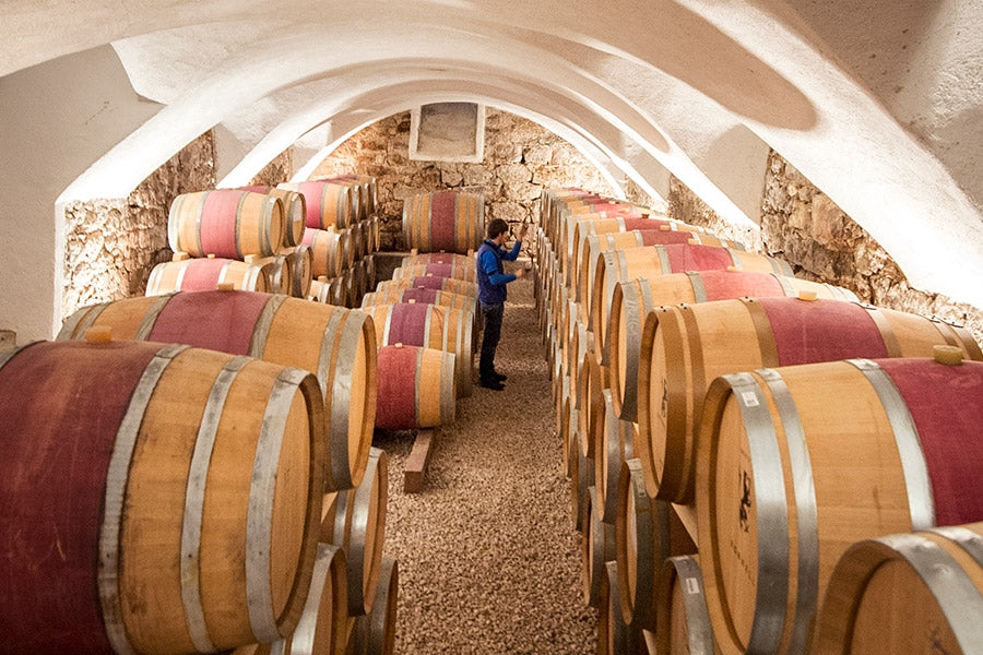 Kornell des Florian Brigl