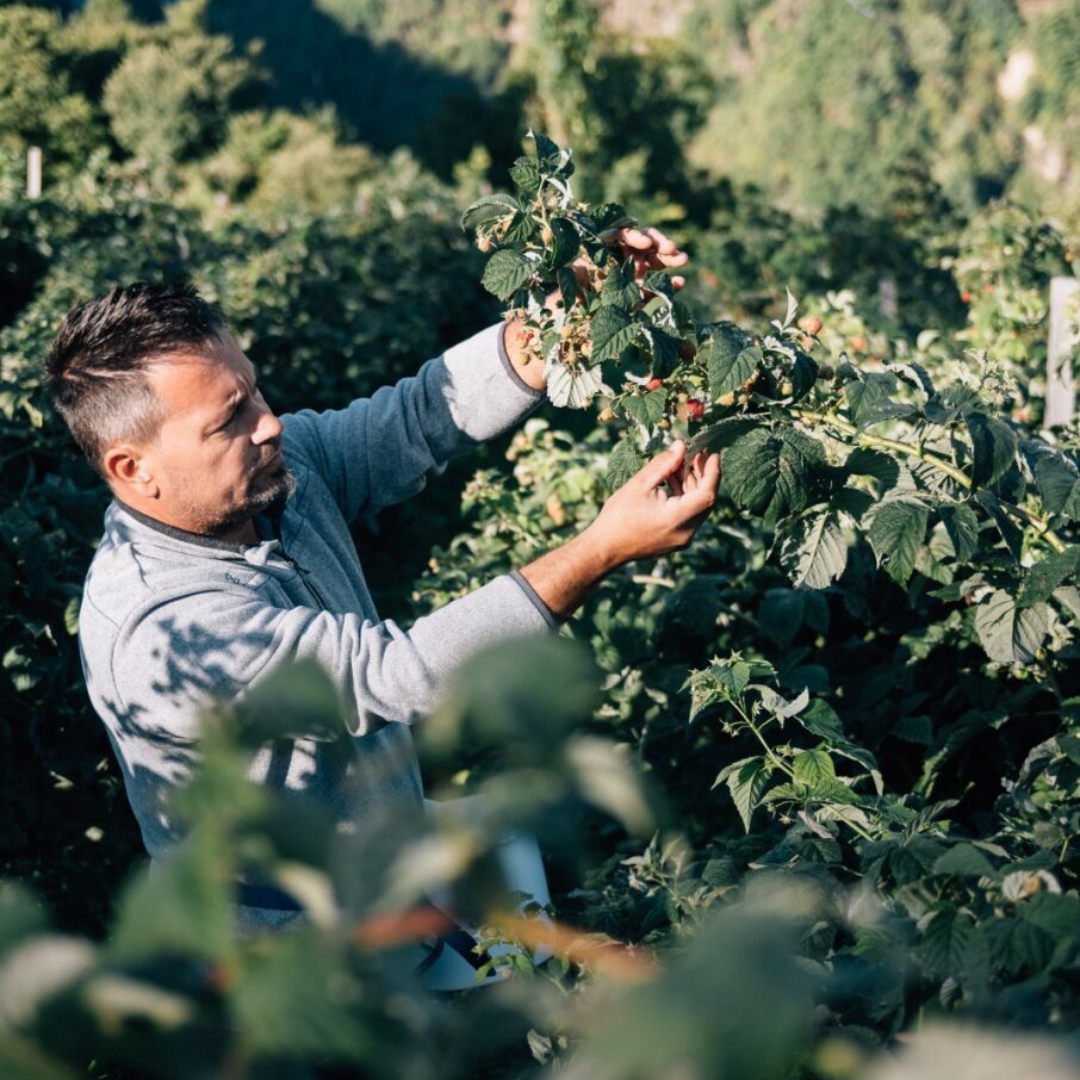 Partschillerhof des Andreas Rungger