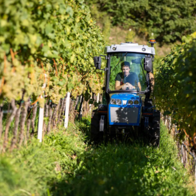 Weingut Röll 1