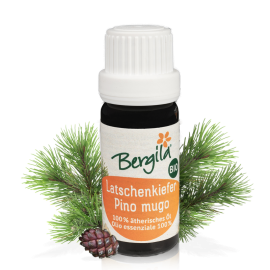 Olio essenziale di pino mugo | Bergila BIO 10 ml