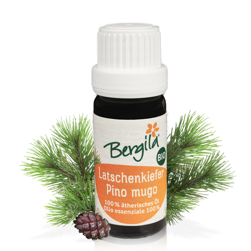 Mountain Pine Essential oil Bergila ORGANIC 10 ml