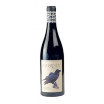 Pinot noir Corax Grottnerhof 2018 750 ml